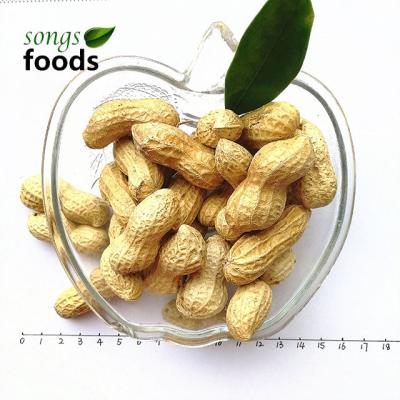 China Dried Peanuts Prices / Peanut Prices Price 1kg For Sale Peanuts for sale