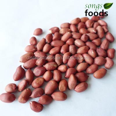 China Fresh Peanut Importers for sale