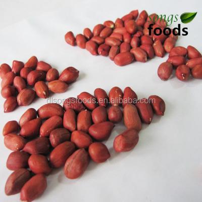 China New Culture Dried Raw Red Skin Peanut for sale