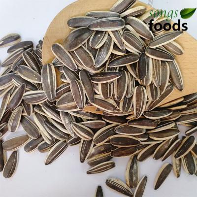 China Various dry types of sunflower seeds 361 363 601 5009 for sale