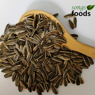 China Chinese wholesale dry new crop sunflower seeds 363 361 for sale