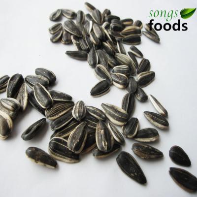 China Export Dried Sunflower Seeds for sale