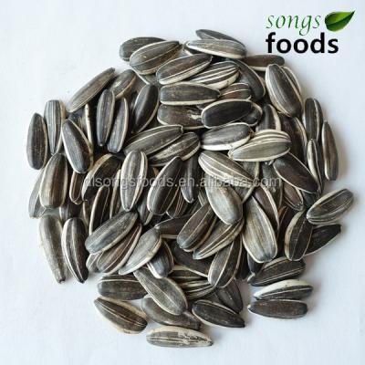 China Dry Wholesale Names of Edible Seeds for sale