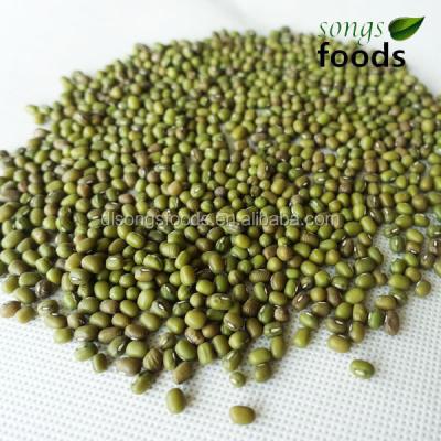 China Dry Green Beens in China for sale