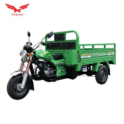 China Cargo Chong Qing Hot-selling Product Tbs 200cc250cc300cc Motorized Refrigerated Tricycle Vehicle for sale