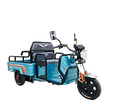 China Hot Selling Quality 60V800W Electric Cargo Tricycle Cargo Motorcycle Tricycle for sale