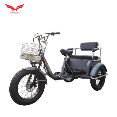 China New Tebasi Leisure Urban Tricycle Rickshaw Passenger Electric Tricycle for sale