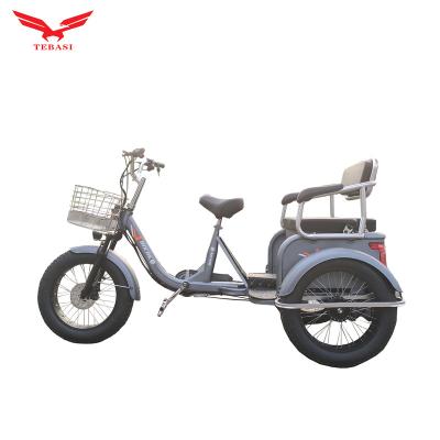 China New Passenger Chongqing TBS Tricycle Urban Electric Rickshaw Electric Tricycle for sale