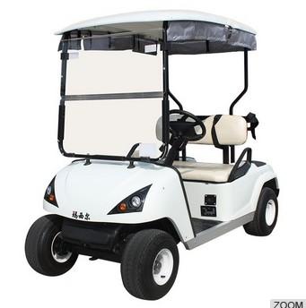 China 2 person electric golf buggy cheap DG-C2 with CE certificate for sale