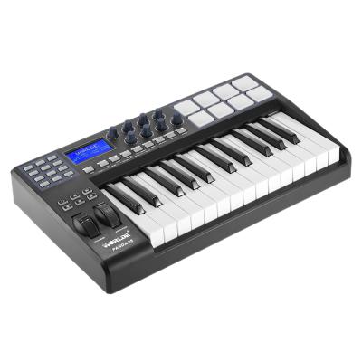 China Colored Plastic 25 Key Compact USB Electric Organ 8 RGB With USB Cable With Light Backlit RGB Keyboard Professional MIDI Controller for sale