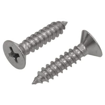 China Pan China Screw Manufacturer Self Tapping Phillips Head Stainless Steel Flat Screw Fasteners for sale