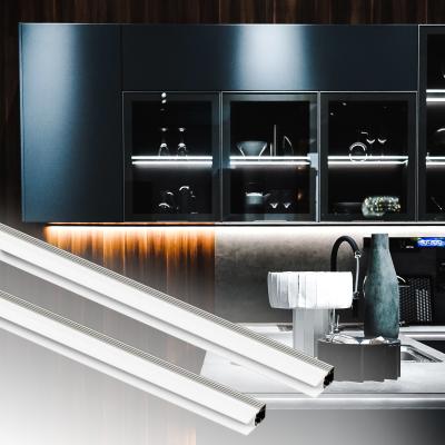 China Aluminum Profile Wardrobe Cabinet LED Light Cutting Service 12/24V DC A2109 for sale