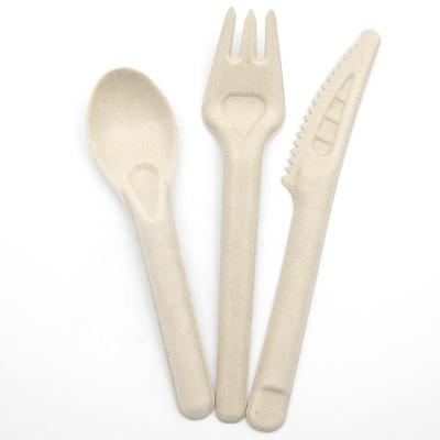 China Eco Friendly Disposable Spoon Sugar Cane Bagasse Cutlery For Ice Cream for sale