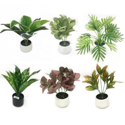 China Real Touch Home Decor Real Touch Natural Plant and Touch Feel Tropical Plants Mini Artificial Flower Bonsai Trees for sale