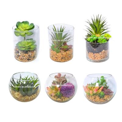 China Vivid Desktop Decoration Glass Bonsai Artificial Succulent Plants Potted Wholesale for sale