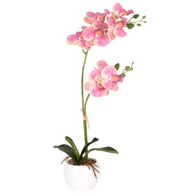 China High Quality Natural and Pale Touch Artificial White & Pink Orchid Phalaenopsis Flowers for sale