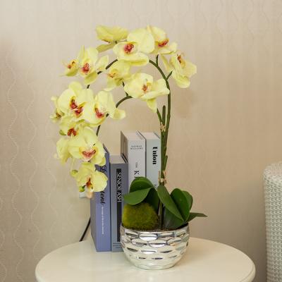 China Double Branch Plastic Phalaenopsis Orchid Artificial Flower Home Decorative Yellow Bonsai for sale