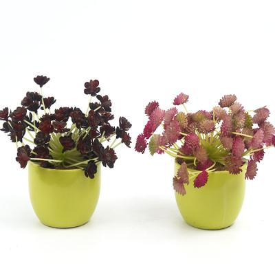 China ODM OEM Natural Looking Mini Potted Succulent Plants Ceramic Artificial Bonsai Decoration for sale