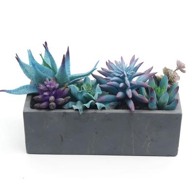 China Classic Vivid Rectangular Blue Style Mixed Succulent Artificial Plants In Cement Pot for sale