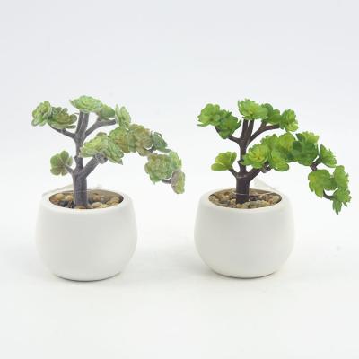 China Plastic Small Mini Potted Artificial Plant And Green Natural Looking Decoration Succulents Set Natural for sale