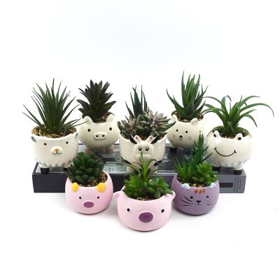 China Vivid Cute Small Pet Pots Decor Fake Indoor Succulent Plants Artificial Bonsai for sale