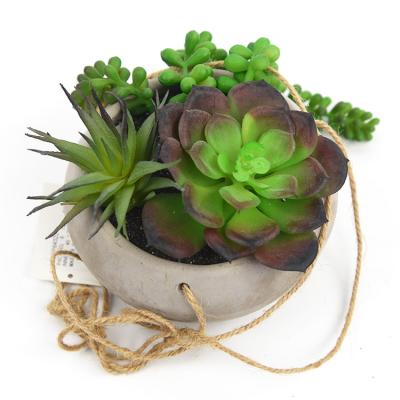 China Popular Indoor Round Ceiling Decor Mix Artificial Succulent Hanging Plants Potted for sale