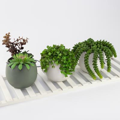 China Beautiful Garden Restaurant Home Indoor Decoration Artificial Hanging Succulent Plants Basin for sale