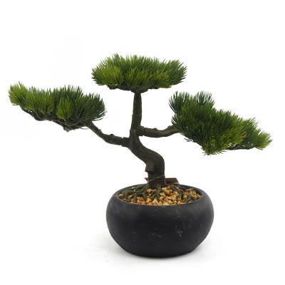 China Mini real touch pine bonsai natural decorative plastic greenery artificial tree for sale for sale