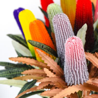 China New Style Plastic Tropical Plants Real Touch Artificial Flowers Banksia Decorative Dry Protea for sale