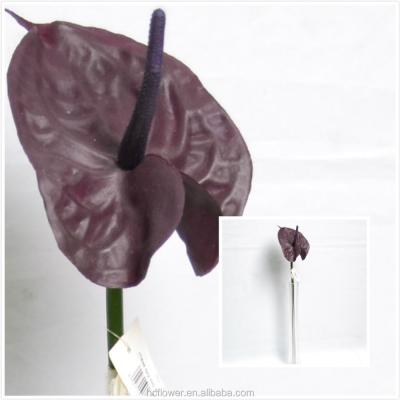 China Wedding or Others Celebrate Event Almost Natural Anthurium, Dark Purple HC-810D-32 for sale