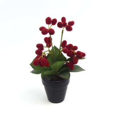 China Real Touch Indoor Decor Mini Red Hairy Ball Shaped Artificial Flowers Plastic Plants for sale