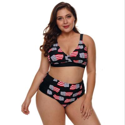 China Breathable RUNNING Print Halter Neck With Pad Popular High Waist Plus Size Swimsuit for sale