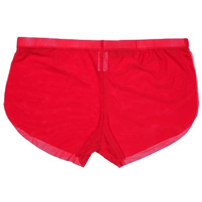 China Light Sexy Flexible Men's Fashion Breathable Briefs Sexy Underwear Boxers Comfortable Ultra-transparent Mesh Cloth Men's Boxers for sale