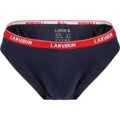 China Breathable Chinese Supplier Custom Briefs Comfortable Fashion U Convex Underwear For Boys for sale