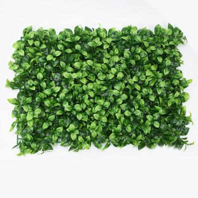 China Wholesale Artificial Garden Backyard Boxwood Hedge Lawn Wall Decoration Grass Flower Plant Backdrop Home Wall for sale