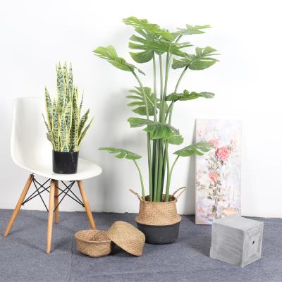 China Artificiales de plantas d'Art Decor, Factory Direct Selling Artificial Turtle Fake Monstera Tree Back Plastic Bonsai Potted Plants for sale