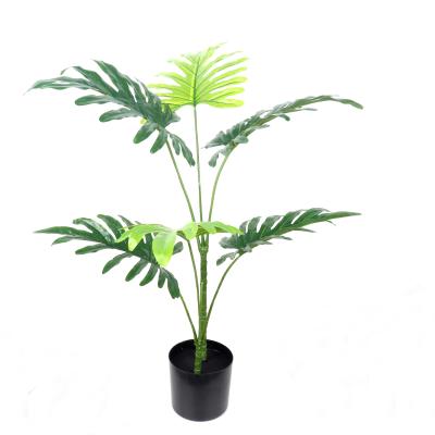 China Indoor Decoration Factory Outdoor Art Decor High Quality Head Office Plastic Bonsai Tree for sale