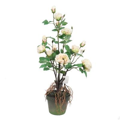 China New Decoration Design Artificial Silk Cloth Rose Flower Colorful Artificial Flower For Home Decor for sale