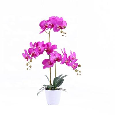 China Decoration 5470 PE Artificial Flower For Home Decor Real Touch Orchids Artificial Flowers for sale