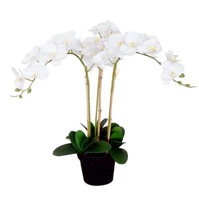 China Artificial Decoration Butterfly Orchid Flower For Home Decor 5212 for sale