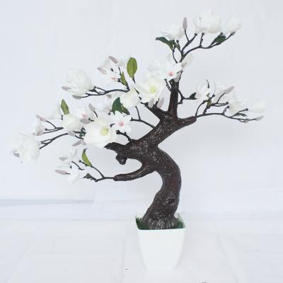 China Decoration 100cm Artificial Magnolia Flower Bonsai 5762 for sale