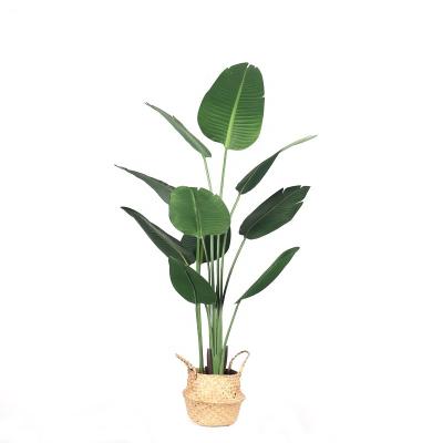 China Coastal Wholesale Artificial Plastic Banana Indoor Bonsai Tree Plants for sale