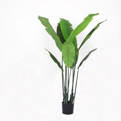 China Art Decor Artificial Plant Green Leaves Plastic Decorative Trees Banana Leaves Canna Bonsai Plant for sale