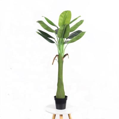 China Coastal Artificial 160cm Plastic Banana Indoor Bonsai Tree Plants 0704 for sale