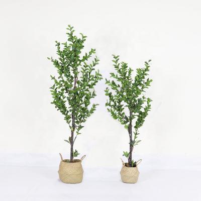 China Minimalist Decorative Cheap Artificial Ficus Plant, Banyan Tree for sale