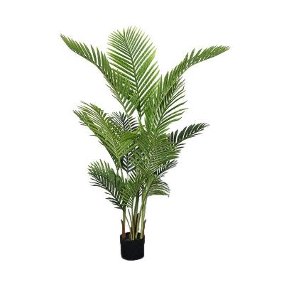 China Yiwu Hydroponics Artificial Phoenix Palm Plants Office Wholesale Decoration Home Office Decoration for sale