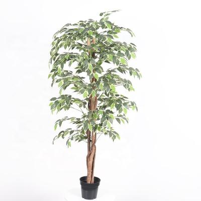 China Art Decor Indoor Banyan With Roots Real Wooden Trunk Artificial Ficus Bonsai Plant Tree for sale