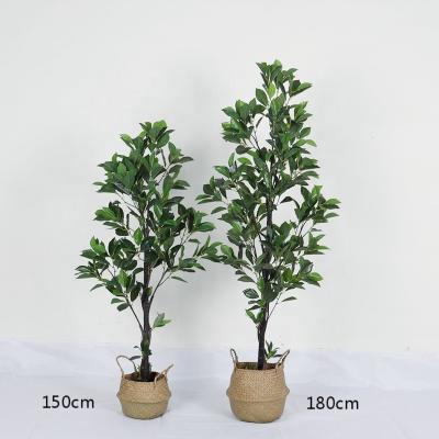 China Wholesale Artificial Ornamental Lemon Plant Home Plants Trees for sale