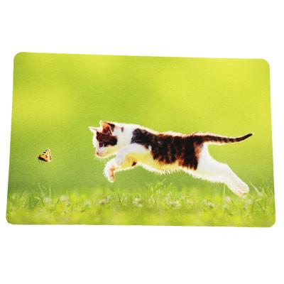 China PASSIONATE BFM-015 Non Slip Floor Mat Soft Absorbent Door Mat for sale