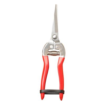 China T01 Tin Fruit Cutter-Long Straight Japan High Grape Bonsai Pruning Branches Cutting Shear Scissors For Home Use for sale